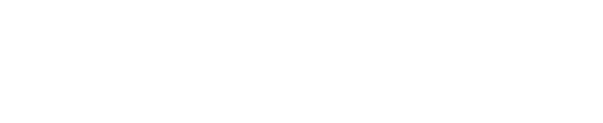 Sina Saidi, MD PC